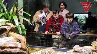 Harry Potter 1 The Sorcerers Stone // Movie Scene Telugu