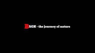 BAGH - the journey of nature || 1st short film || Bagh the historical city of Dhar || Dushyant Rawat