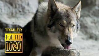 ALPHA Full Movie Trailer (2018) Kodi Smit McPhee, Leonor Varela Action Movie HD