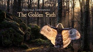 Priscilla Hernandez - The Golden Path- (Fantasy / Relaxation fairy song)