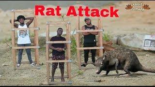 The Rise of Rats (Xploit Comedy Film)