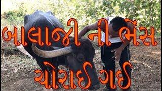 બાલાજી ની ભેંસ ચોરાઈ ગઈ || Best Gujarati Comedy Short Film 2019 || Amazing Wild Boys