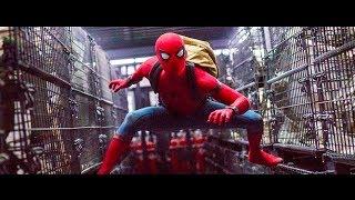 Hindi Dubbed Action Movie HD | Full Length Dubbed Movie | night moves