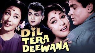 Dil Tera Deewana Full Movie in Colour | Shammi Kapoor Old Movie | Mala Sinha Old Classic Movie | HD