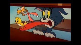 Tom And Jerry Full Episodes ???? Historical chase Boomerang ???? Best Funny Cartoons For Kids ✤✔