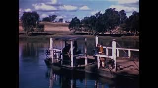 Moggill Ferry Ride 1943