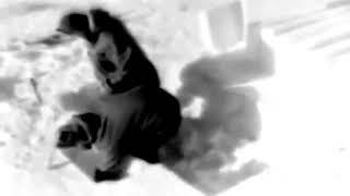 WAR DEPT FILM BULLETIN 220: ARCTIC IGLOO 1948 - HISTORY - HISTORICAL