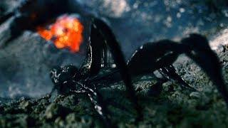 Venom Arrives on Earth - Meteor Scene - Spider-Man 3 (2007) Movie CLIP HD